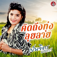คิดถึงทุ่งลุยลาย