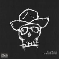 Cowboys Did Cocaine