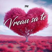 Vreau sa te