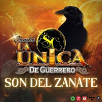 Son del Zanate