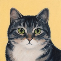 The Cat's Alibi