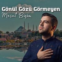 Gözül Gözü Görmeyen