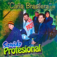 Corazón Ladrón