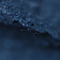 Moody Blue