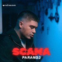 Paranoj
