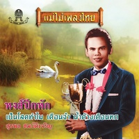 เป็นโสดทําไม - Verse 1