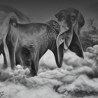 Ancestral