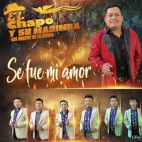 Se fue mi amor