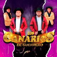 Cuerpecito de Uva (Live)