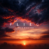 Flieg