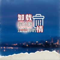 卸载你的爱 注销你的情(DJ光波版)
