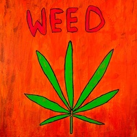 I Smoke Too Much Weed