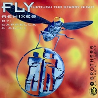 Fly - Through The Starry Night - C.C.Q.T. Radio Version