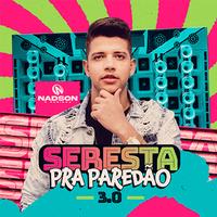 Vai Sentir Falta de Mim