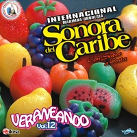 Caribemix de Cumbias 12: Oye / El Ciclon / El Paraguas / Mete y Saca