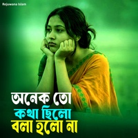 অনেক তো কথা ছিলো বলা হলো না