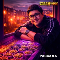 Рассада