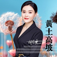 黄土高坡(DJ阿能主歌)