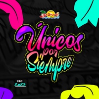 SAL DE MI VIDA (En Vivo)