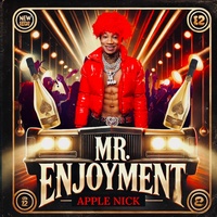 MR. ENJOYMENT