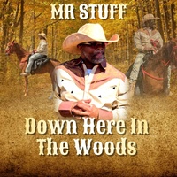 Down Here in the Woods