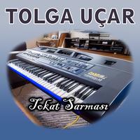 Tokat Sarması