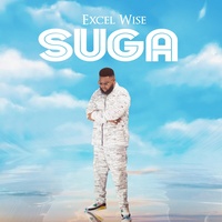 Excel Wise - Suga - Special Version