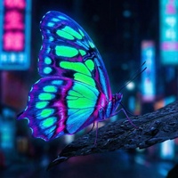 สาวเลย (สาววังสะพุง)