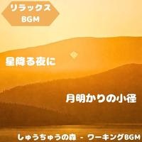 "Relaxing BGM" Silence filled with plants