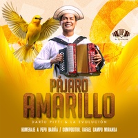 Pajaro Amarillo