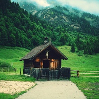 simple life
