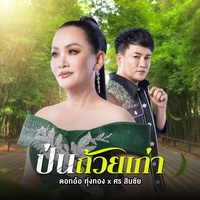 ป่นถ้วยเก่า (feat. ศร สินชัย)