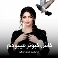 کاش کبوتر میبودم - Remix