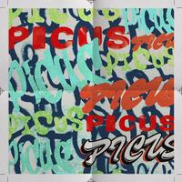 P.I.C.U.S.