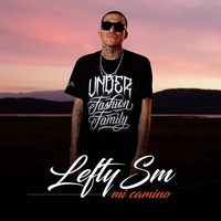 Mi Camino