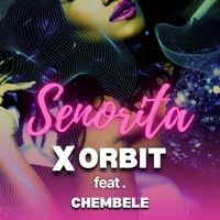 Señorita - Acoustic Version