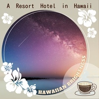 Holidays in Hawaii