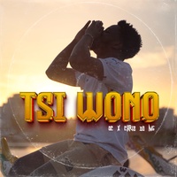 TSI WONO