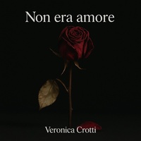 Non era amore
