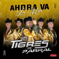 Ahora Va La Mía