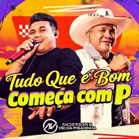 Tudo Que É Bom Começa Com P