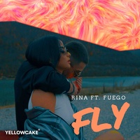 Fly