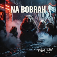 NA BOBRAH