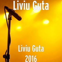 Sound cover