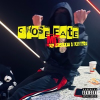 chose my fate