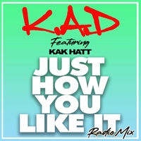 Just How You Like It - Radio Edit
