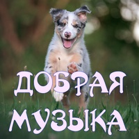 Вкус чудес