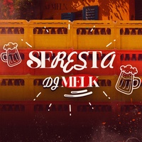 Coisas da Vida - Seresta Remix