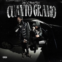 CUANTO GRAMO