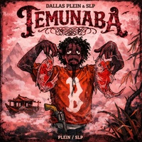 Temunaba (feat. S L P)